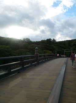 IMG00092-thumb-250x337-267