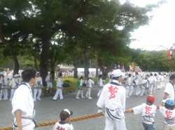 IMG00040-thumb-250x185-252