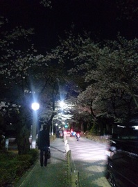 IMG01055