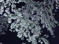 IMG01067