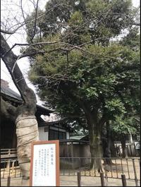 キャプチャ